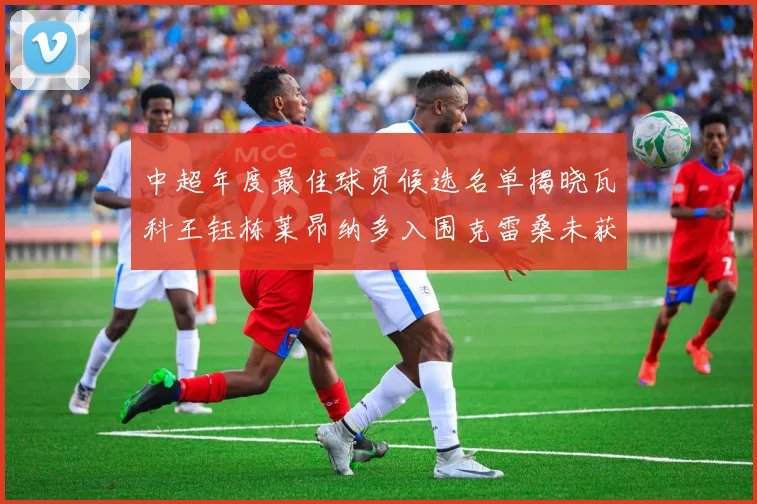 中超年度最佳球员候选名单揭晓瓦科王钰栋莱昂纳多入围克雷桑未获提名