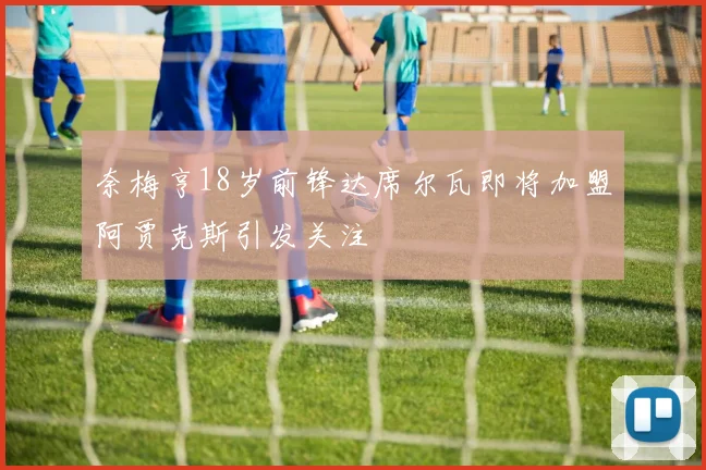 奈梅亨18岁前锋达席尔瓦即将加盟阿贾克斯引发关注