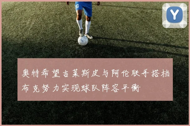 奥特希望吉莱斯皮与阿伦联手搭档布克努力实现球队阵容平衡