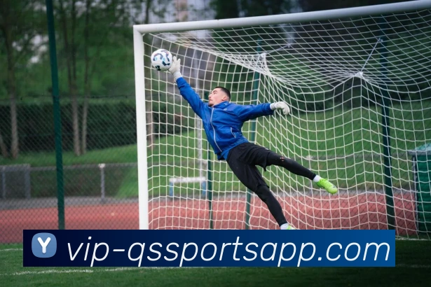 球速体育平台生态图