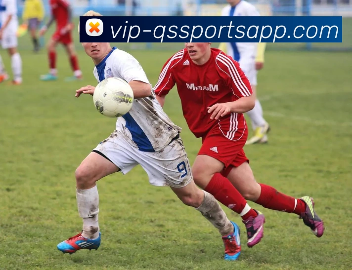 球速体育全站App